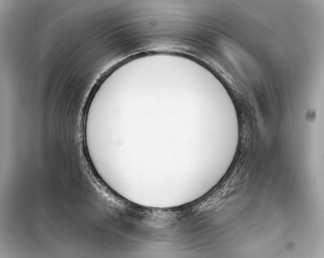 X0000099310848200805161411