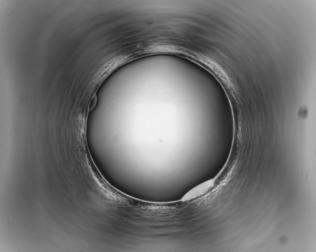 X0000099310849200805161411