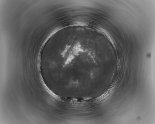 X0000099310851200805161411