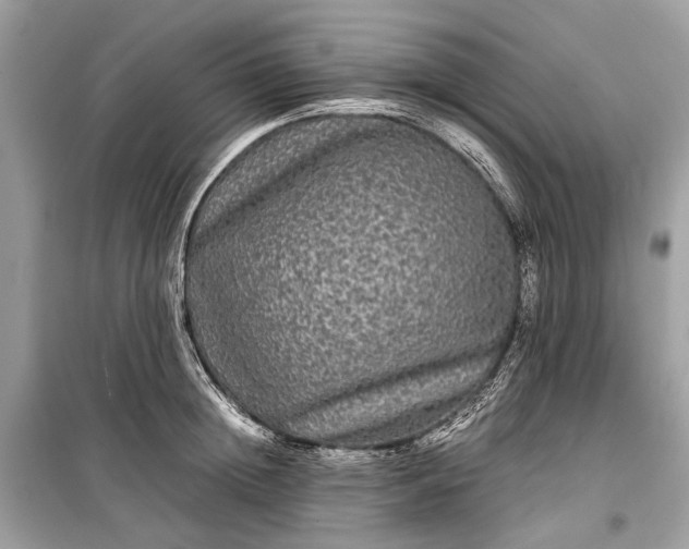 X0000099310852200805161411