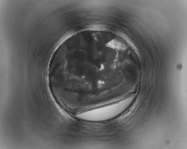 X0000099310853200805161411