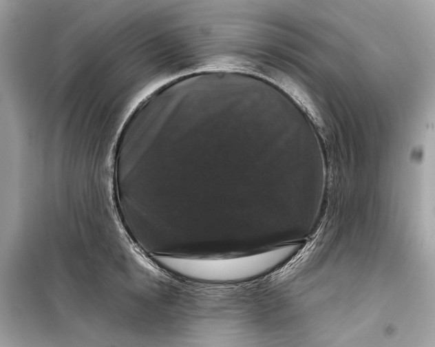 X0000099310854200805161411