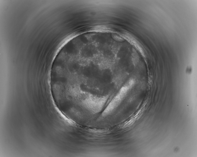 X0000099310855200805161411