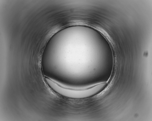 X0000099310857200805161411