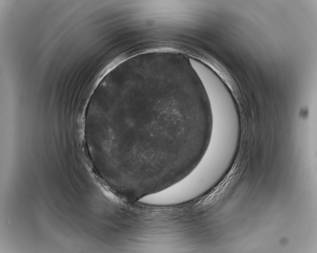 X0000099310858200805161411