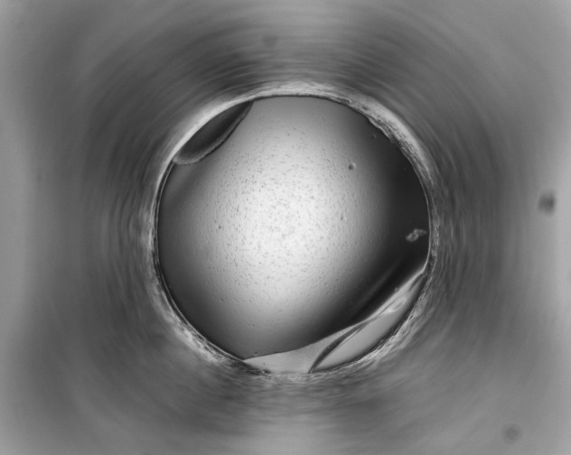 X0000099310860200805161411