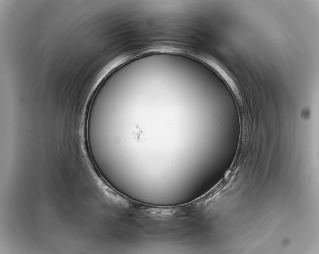 X0000099310861200805161411