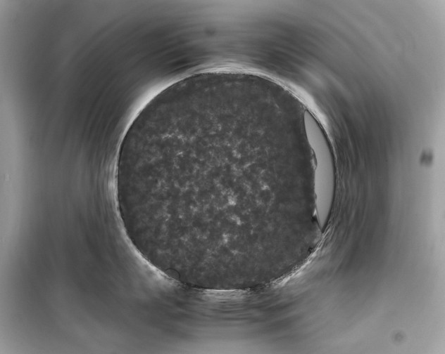 X0000099310863200805161411