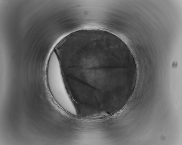 X0000099310864200805161411