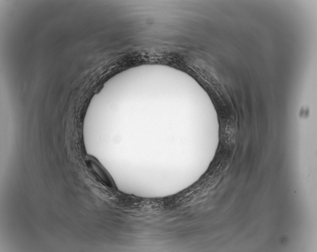 X0000099310865200805161410