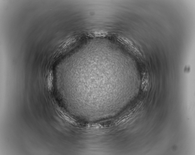 X0000099310866200805161410