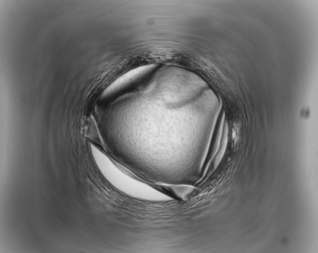 X0000099310867200805161410