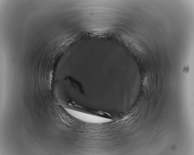 X0000099310868200805161410