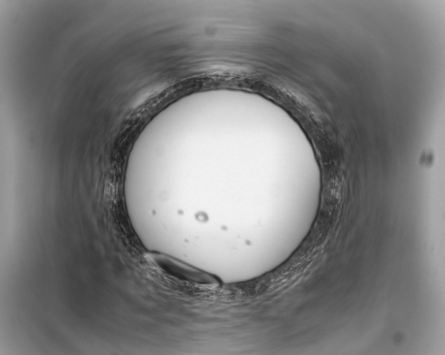 X0000099310869200805161410