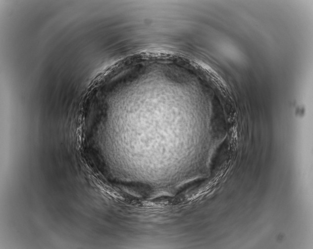 X0000099310870200805161410