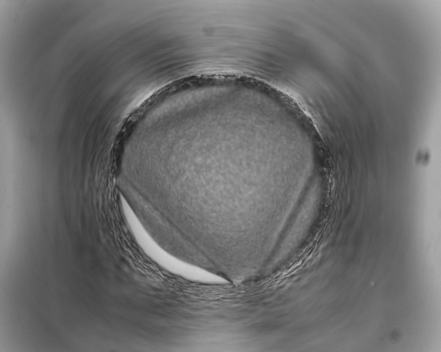 X0000099310871200805161410