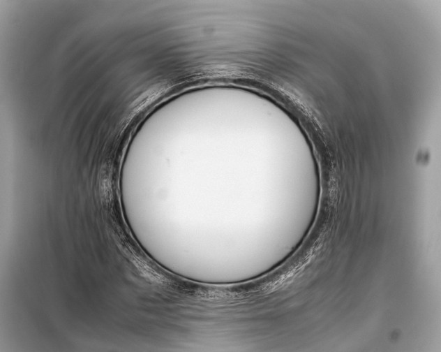 X0000099310873200805161410