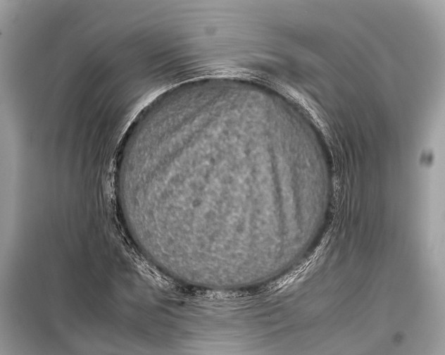 X0000099310875200805161410