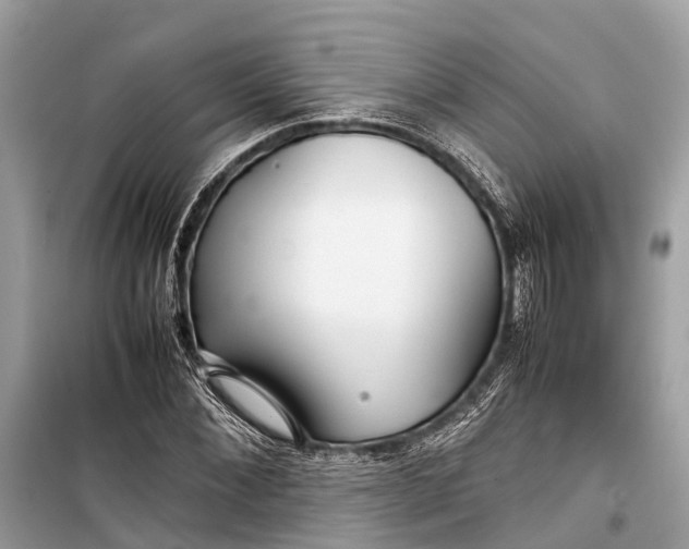 X0000099310876200805161410