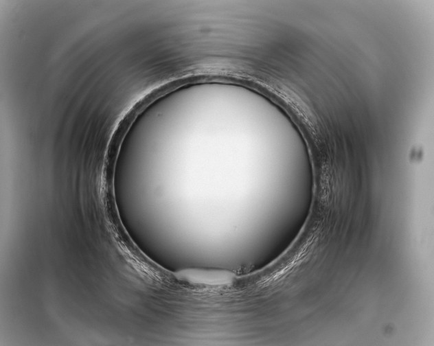 X0000099310880200805161410