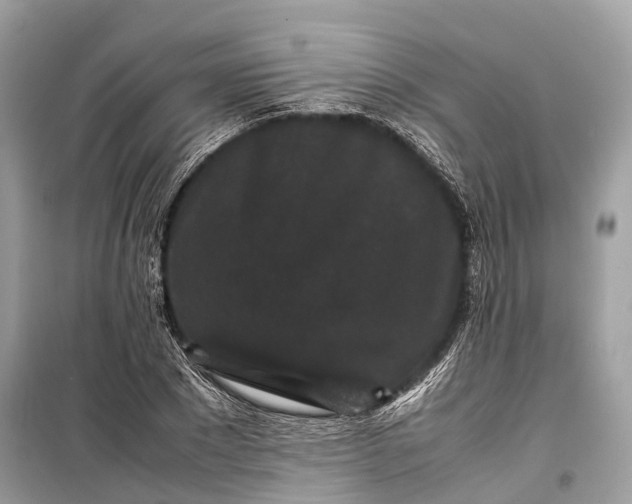 X0000099310881200805161410