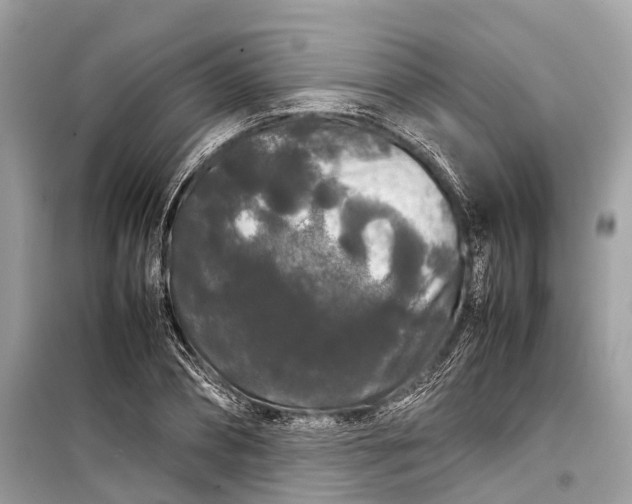 X0000099310882200805161410