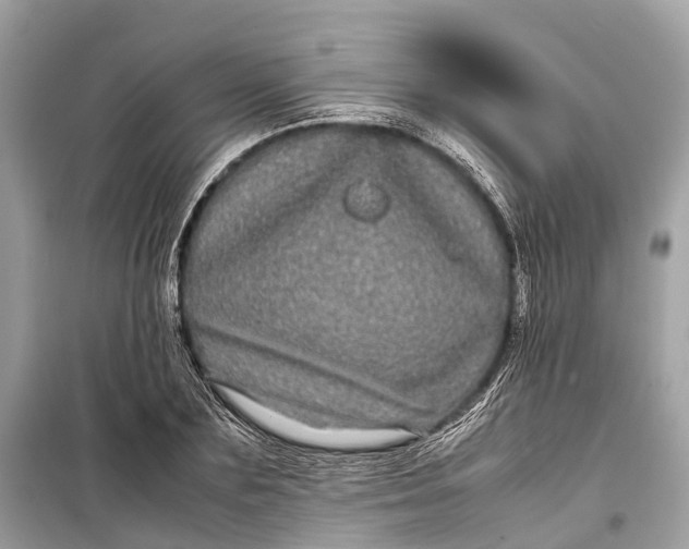 X0000099310883200805161410