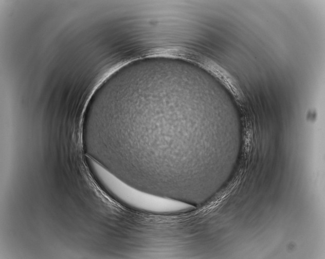 X0000099310884200805161410