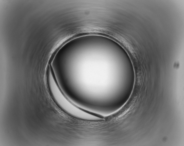 X0000099310885200805161410