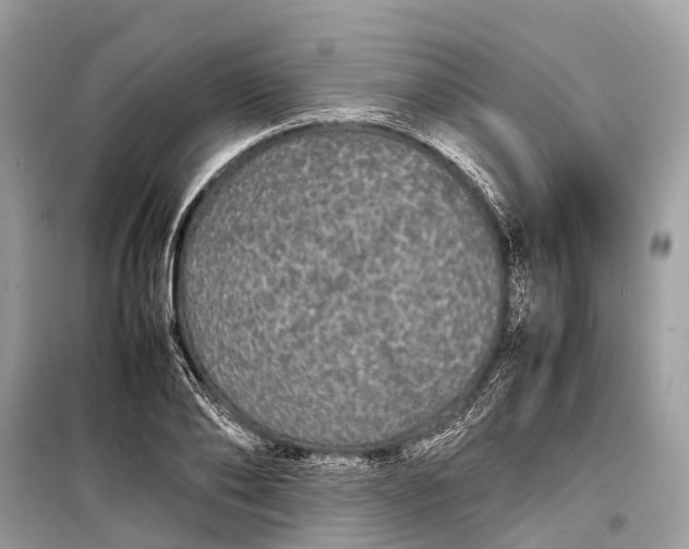 X0000099310886200805161410