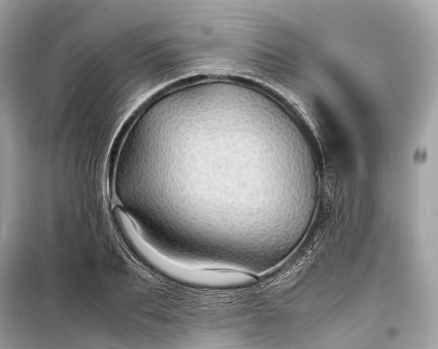 X0000099310887200805161410