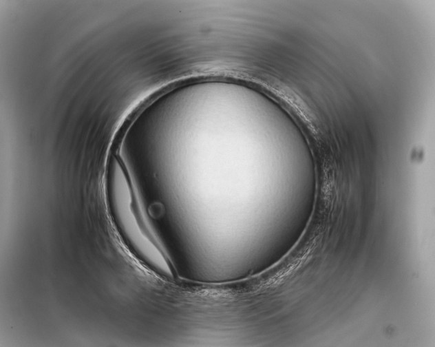 X0000099310888200805161410