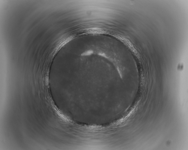 X0000099310889200805161410