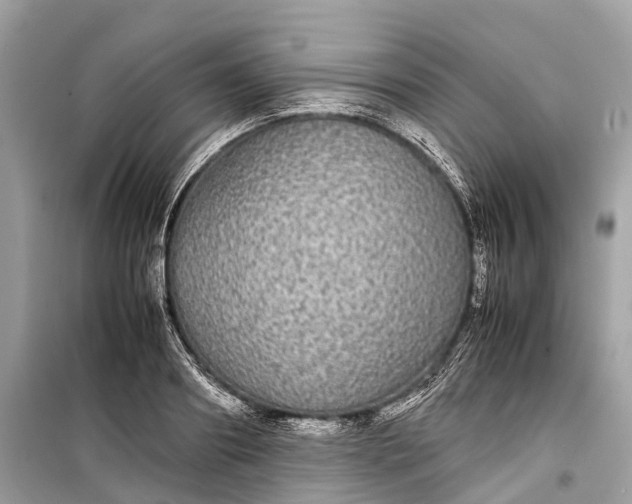 X0000099310890200805161410