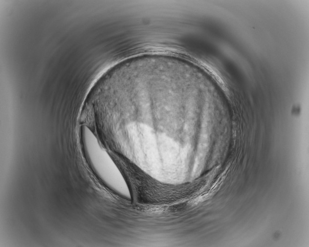 X0000099310891200805161410