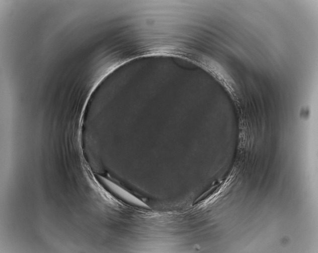 X0000099310892200805161410