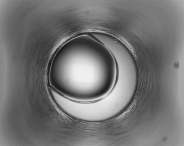 X0000099310893200805161410