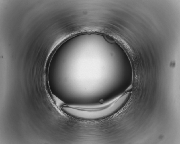 X0000099310894200805161410