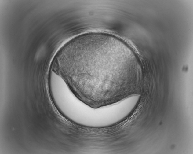 X0000099310895200805161410