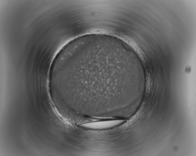 X0000099310896200805161410