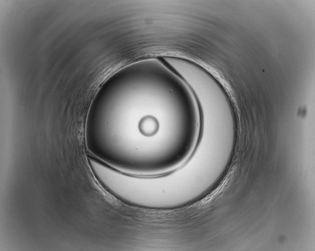 X0000099310897200805161410