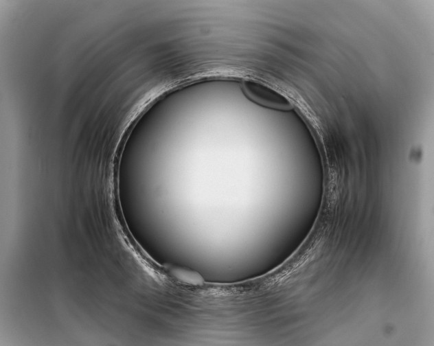 X0000099310898200805161410