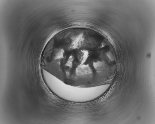 X0000099310899200805161410