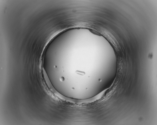 X0000099310900200805161410