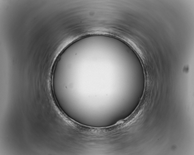 X0000099310901200805161410