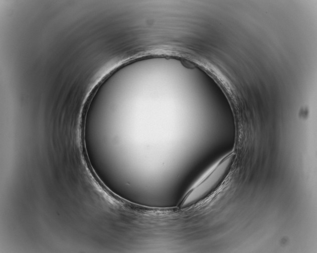 X0000099310902200805161410