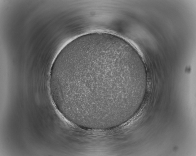 X0000099310903200805161410