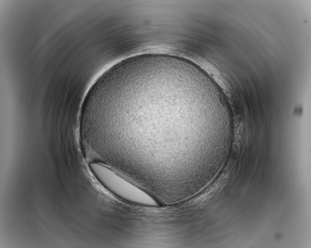 X0000099310904200805161410