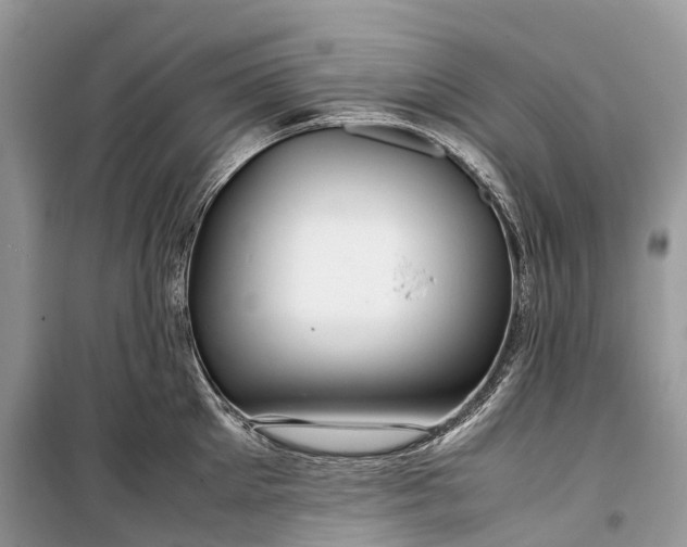 X0000099310905200805161410