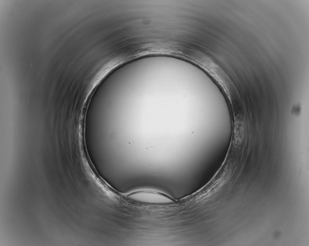 X0000099310906200805161410